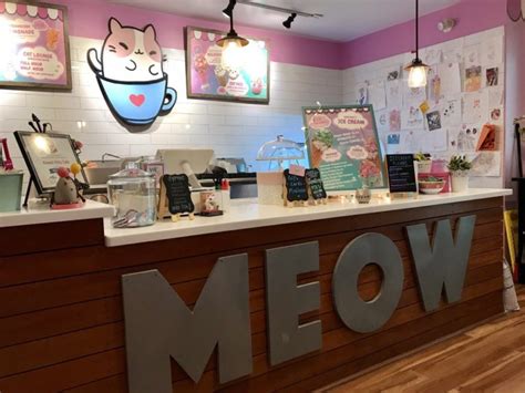 luna cat cafe|nearest cat cafe.